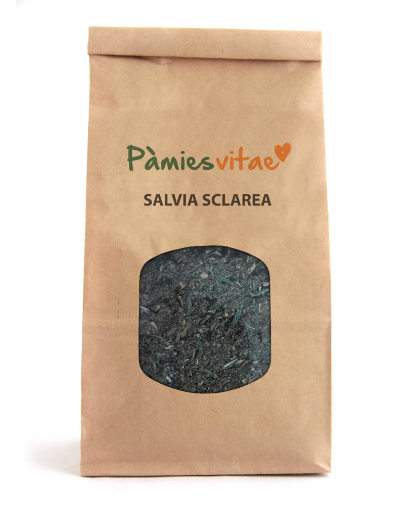 SALVIA SCLAREA/ROMANA - Salvia sclarea