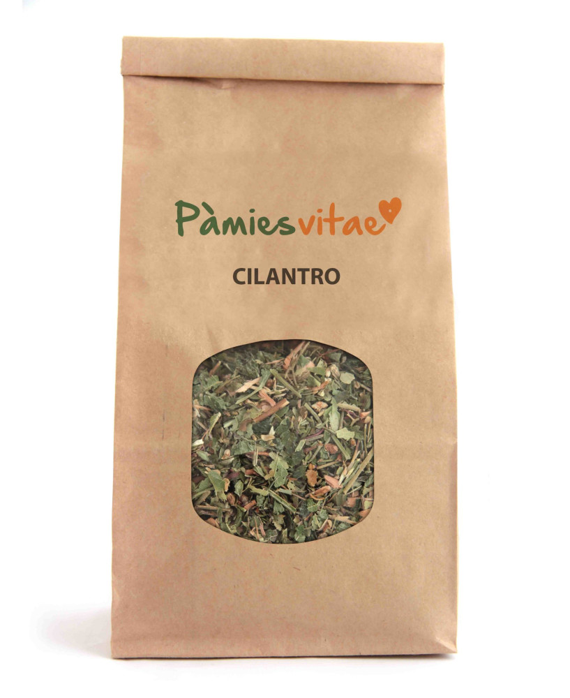 CILANTRO - Coriandrum sativum