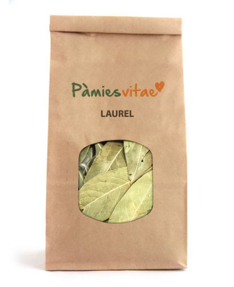 LAUREL - Laurus nobilis
