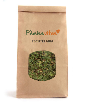 ESCUTELARIA - Scutellaria baicalensis