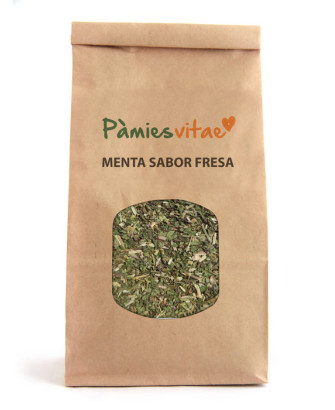 MENTA SABOR FRESA - Mentha sp