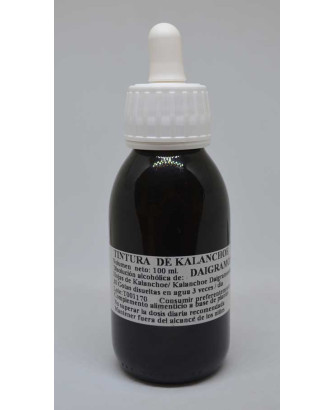 Tintura de Kalanchoe daigremontiana (100 ml)