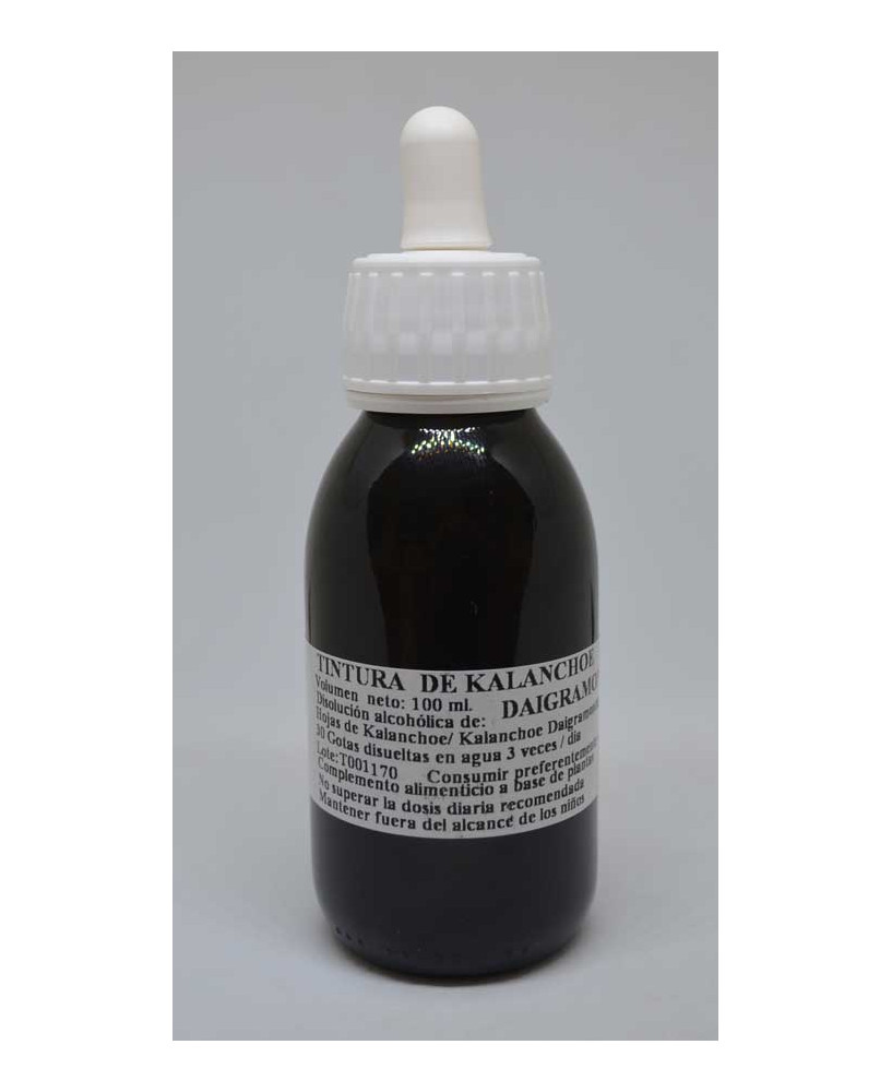 Tintura de Kalanchoe daigremontiana (100 ml)