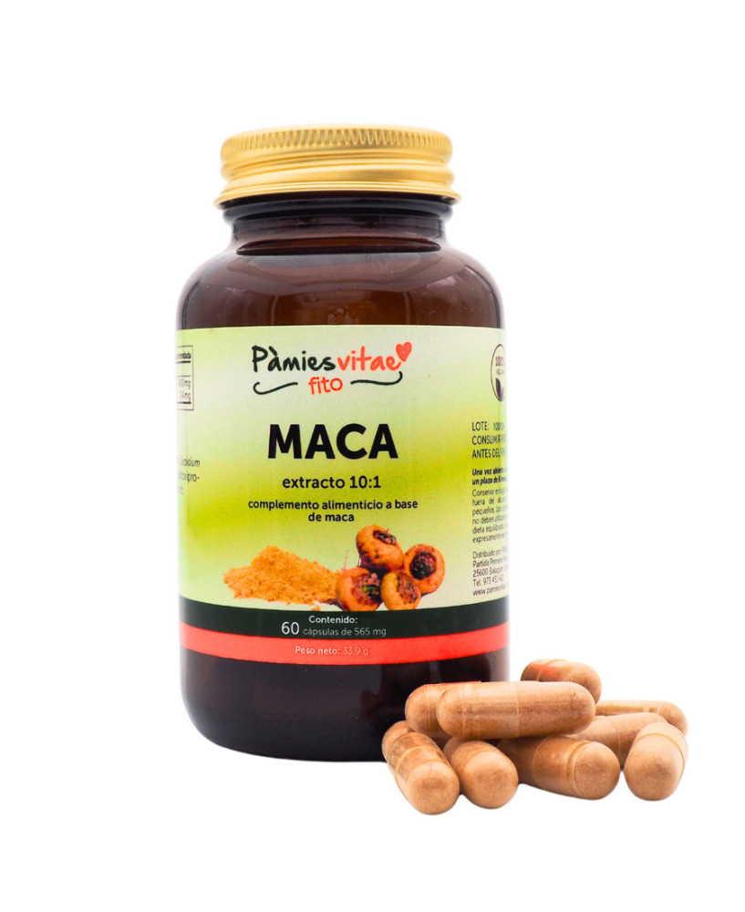 Maca PV (60 cápsulas)