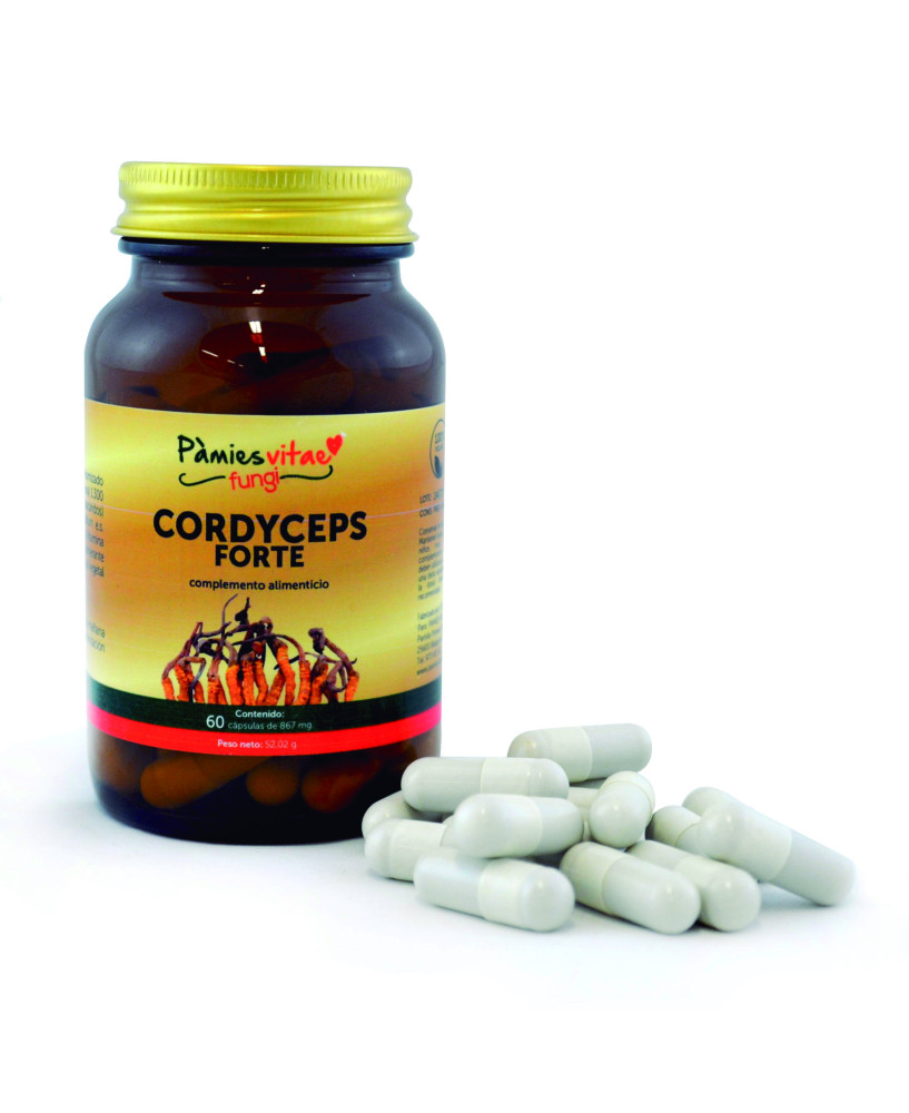 Cordyceps Forte PV (60 cápsulas)