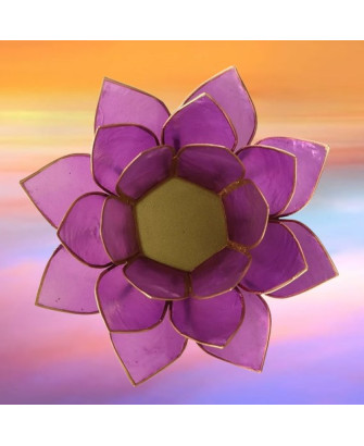Candelario Flor de Loto Lila