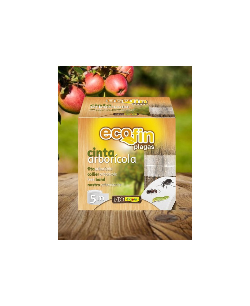 Cinta Arborícola