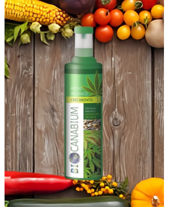 Canabium abono crecimiento 1000ML