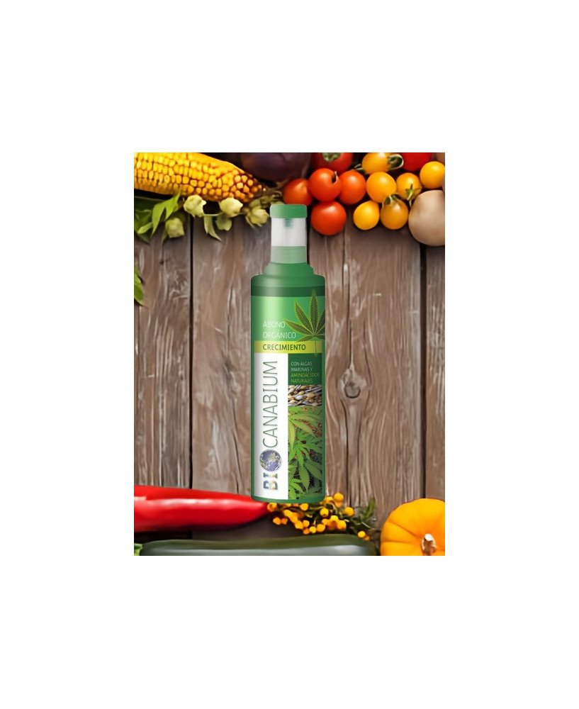 Canabium abono crecimiento 1000ML