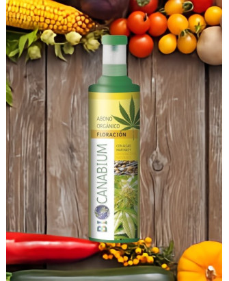 Canabium abono floración 1000ML