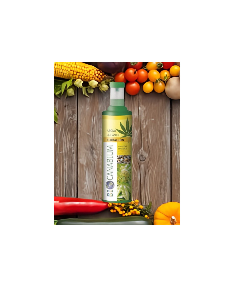Canabium abono floración 1000ML