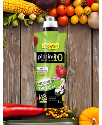 Fertilizante liquido Platinium 10