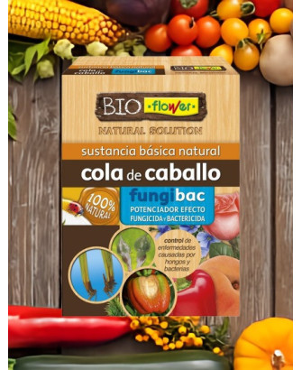 Biofunguicida Fungibac