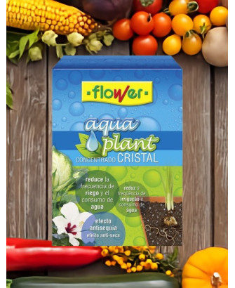 Aqua Plant