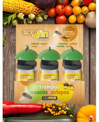 Trampa con cebo atrayente para moscas