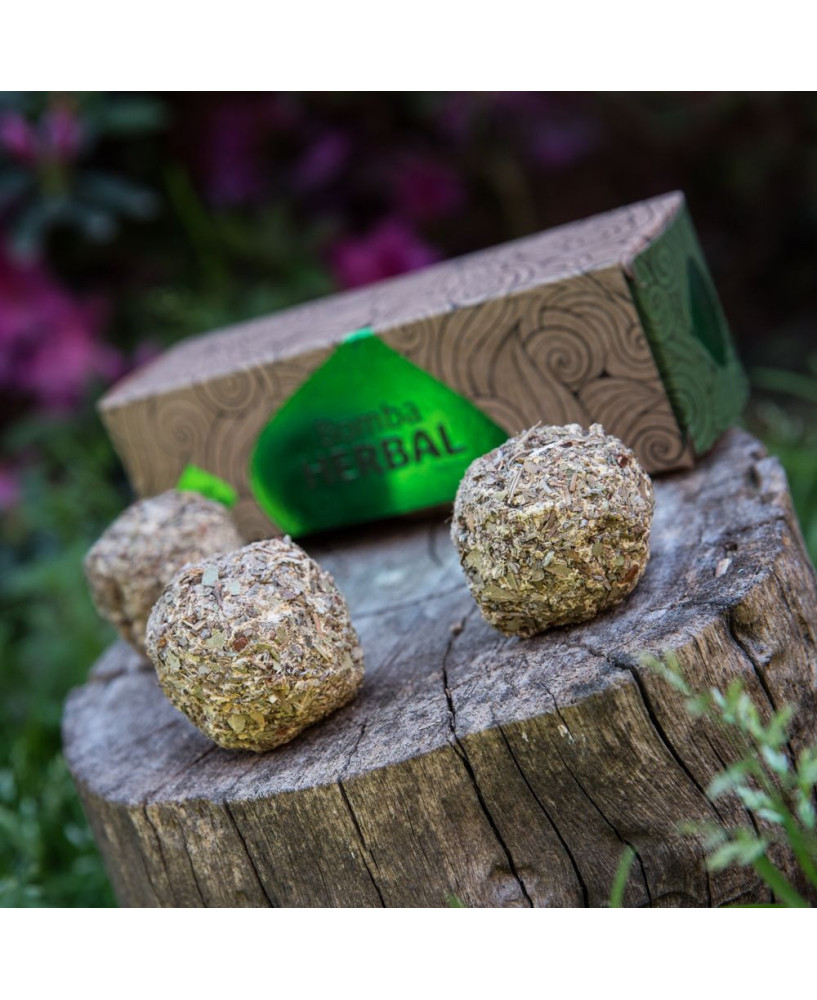 Bomba Herbal XL Limpieza x3