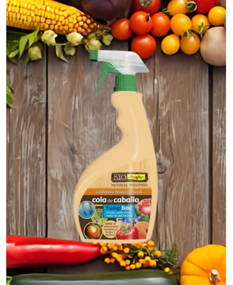 Fungibac, cola de caballo