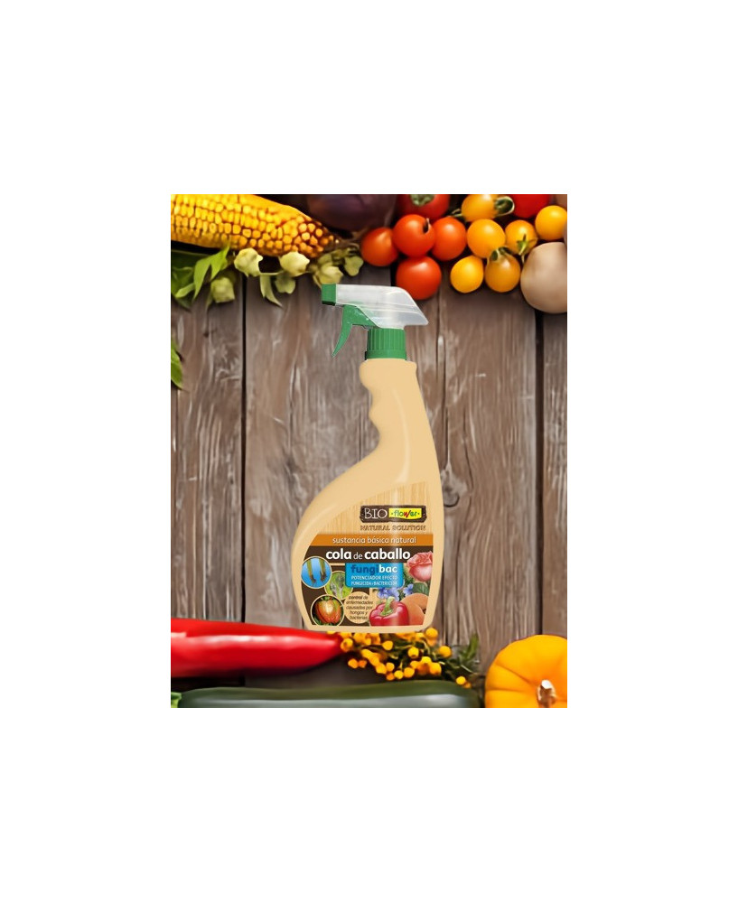 Fungibac, cola de caballo