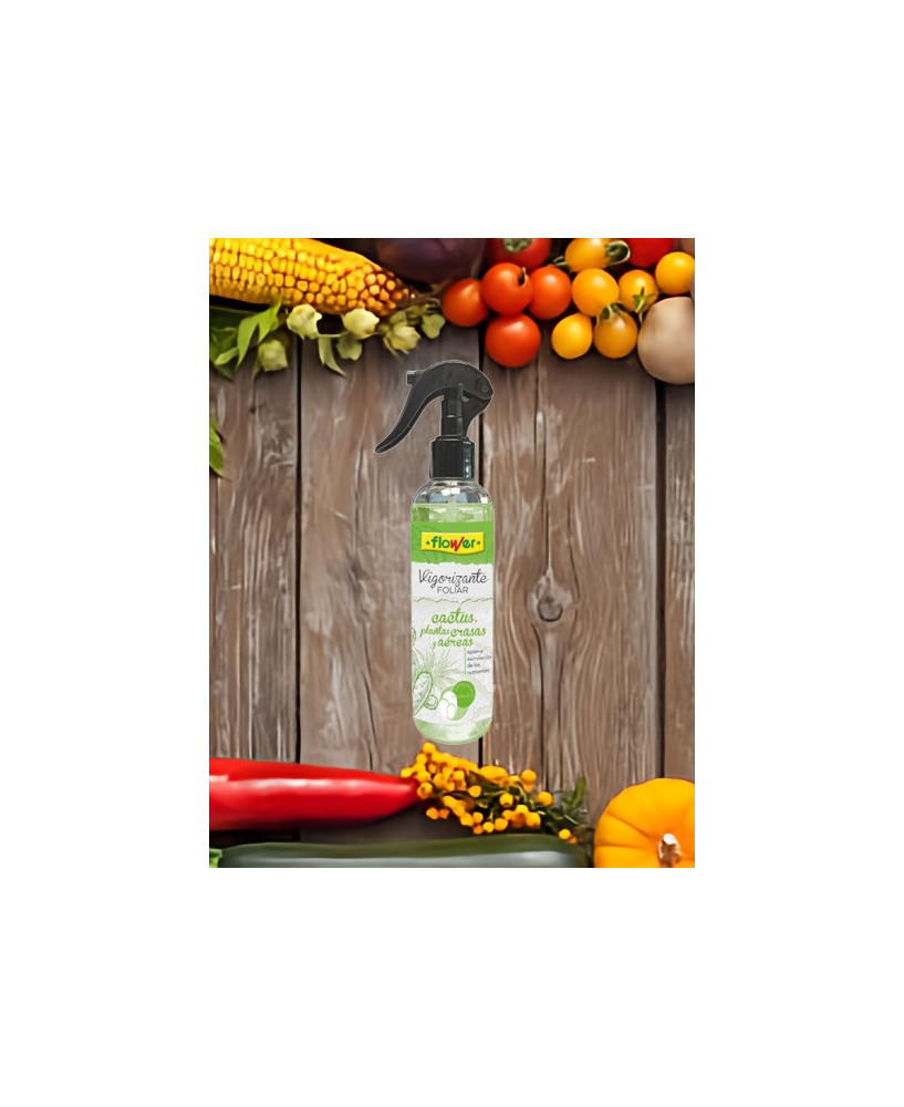 Vigorizante foliar para cactus, crasas y plantas aéreas