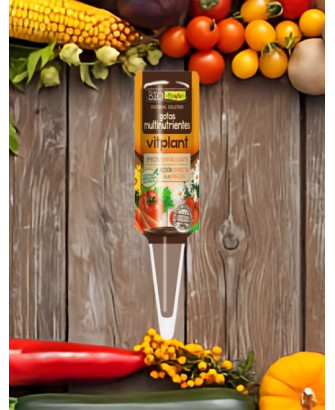 Vitplant, vitaminas para las plantas