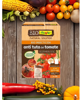 Anti mancha negra del tomate