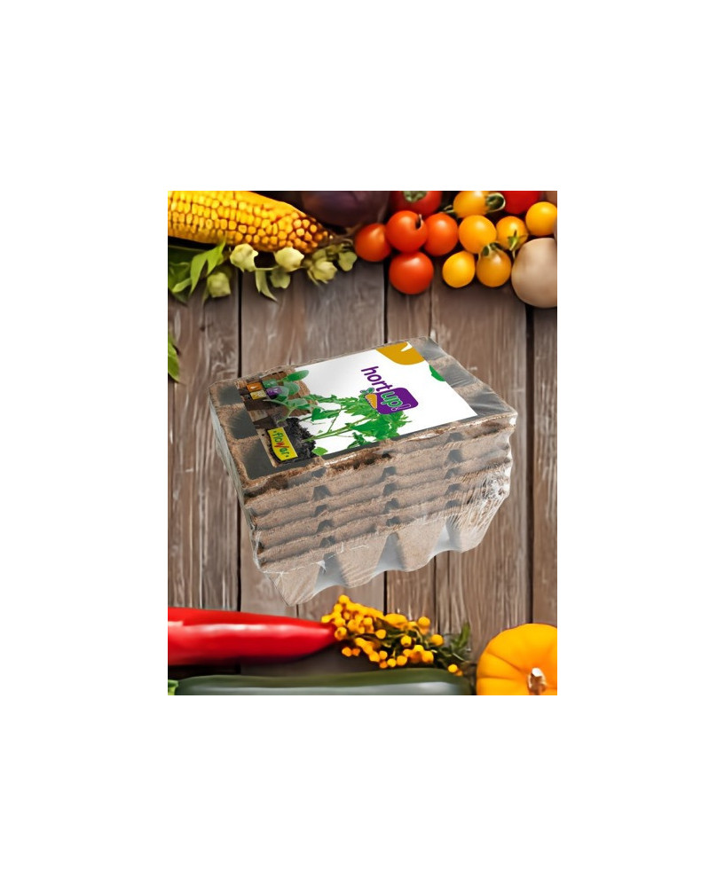 Semilleros biodegradables 12 alveolos