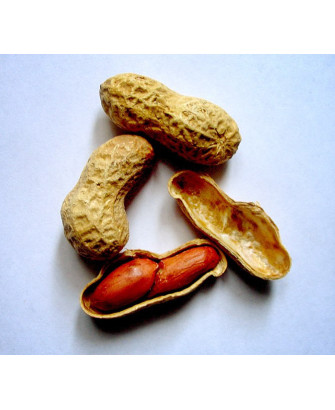 Cacahuete