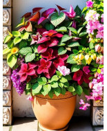 Ornamentales de hoja o flor