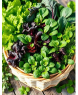 Hoja para ensalada