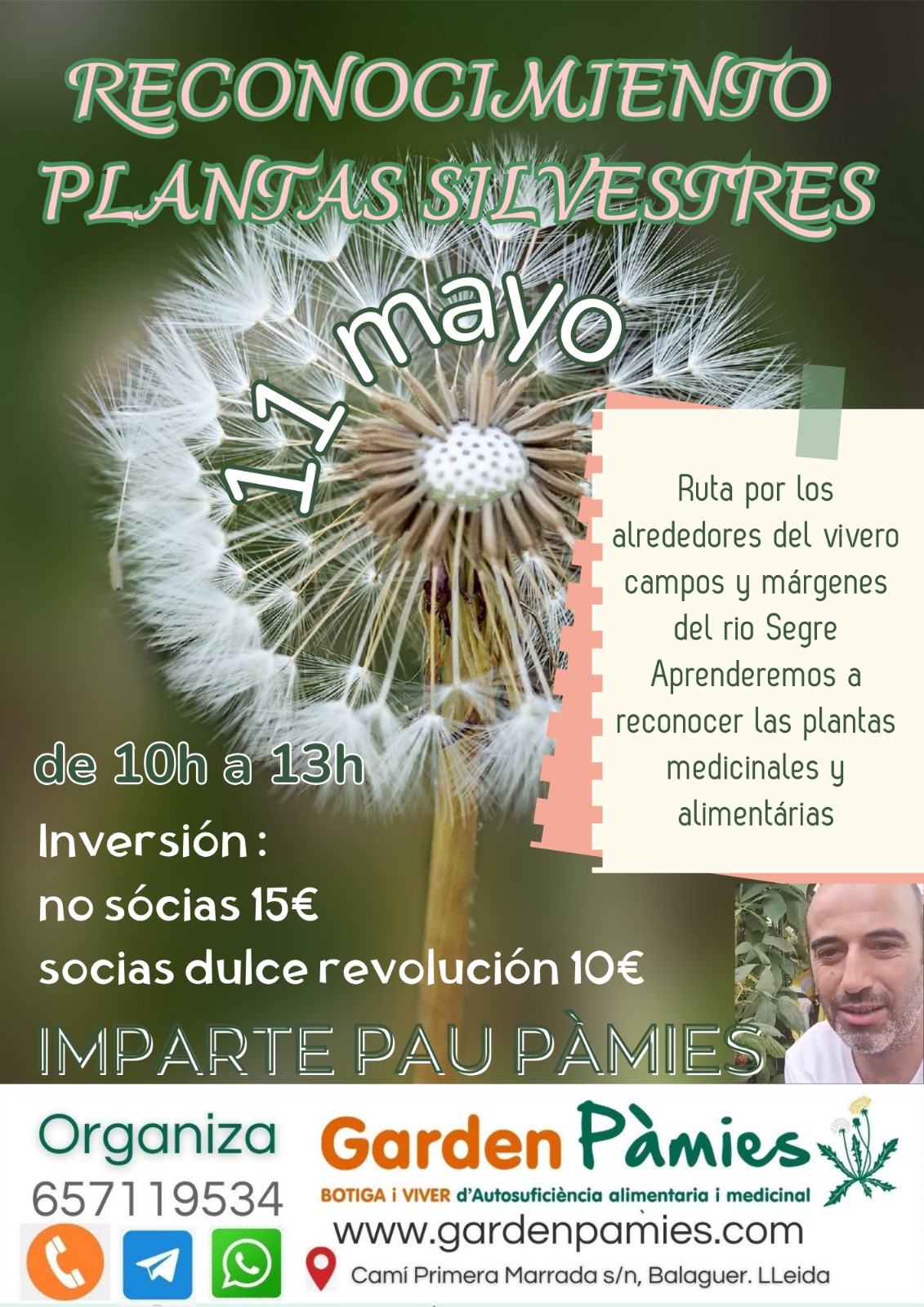 Aprende a reconocer las plantas Comestibles y Medicinales!