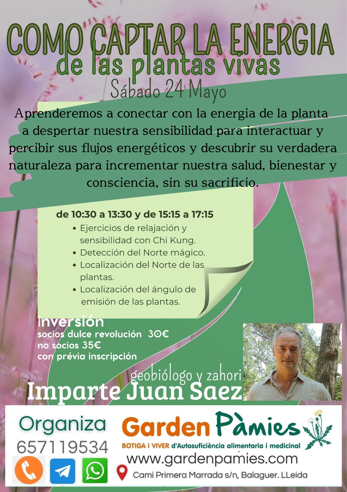 Taller: Cómo Captar la Energía de las Plantas Vivas
