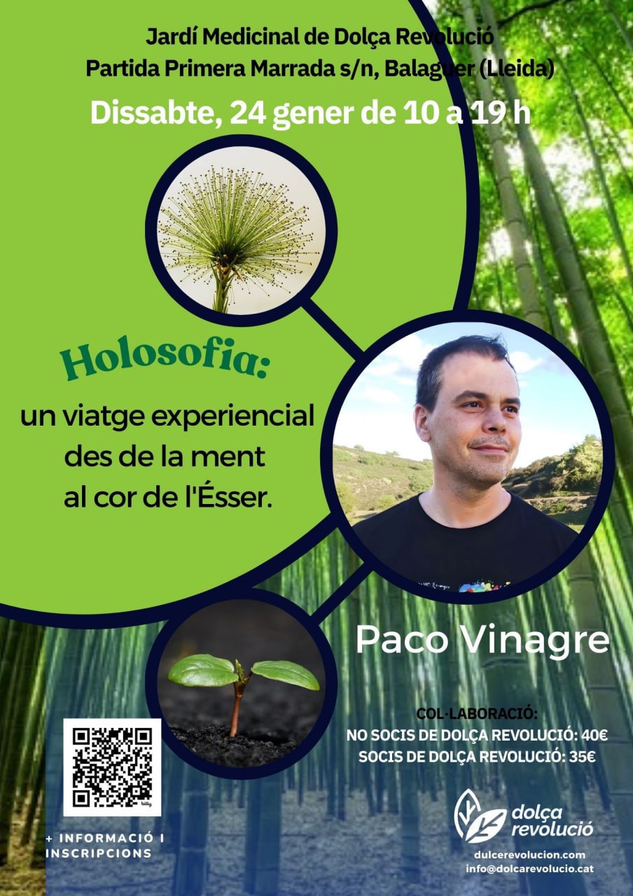 Holosofía: un viaje experiencial desde la mente al corazón del Ser.