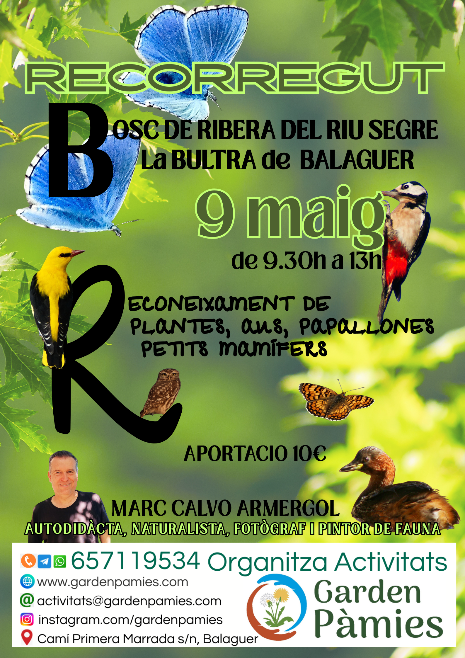 RECORREGUT PEL BOSC DE RIBERA DEL RIU SEGRE La BULTRA de BALAGUER