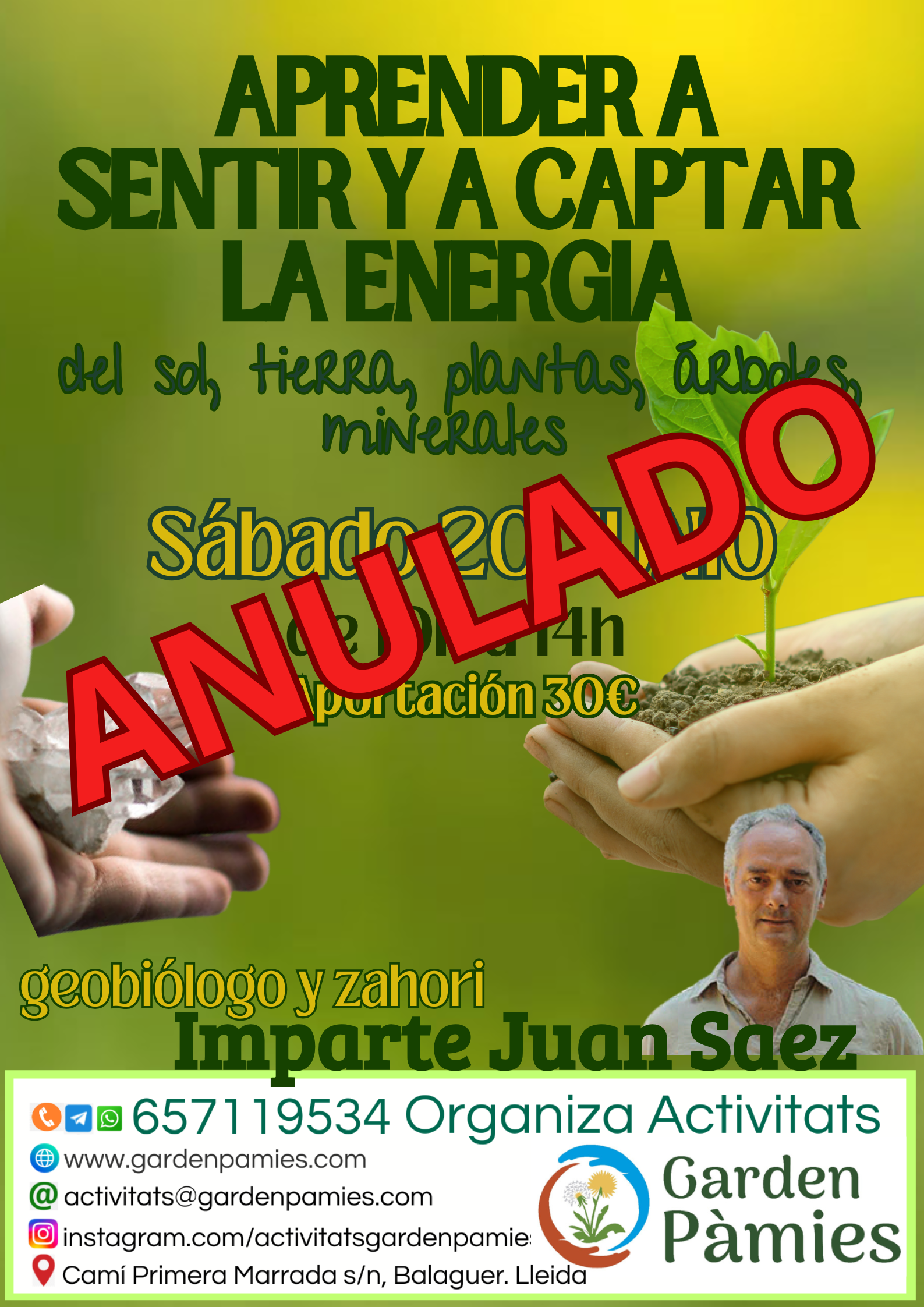 ANULADO!!!!! APRENDER A SENTIR Y A CAPTAR LA ENERGIA del Sol, la tierra, de las plantas, de los árboles y de los minerales